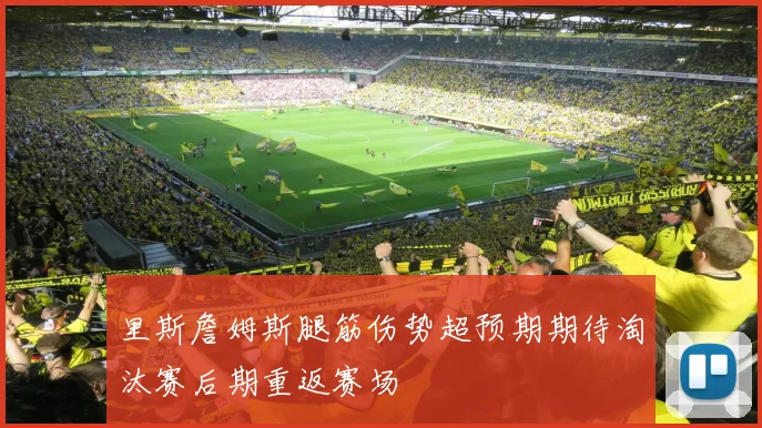 里斯詹姆斯腿筋伤势超预期期待淘汰赛后期重返赛场